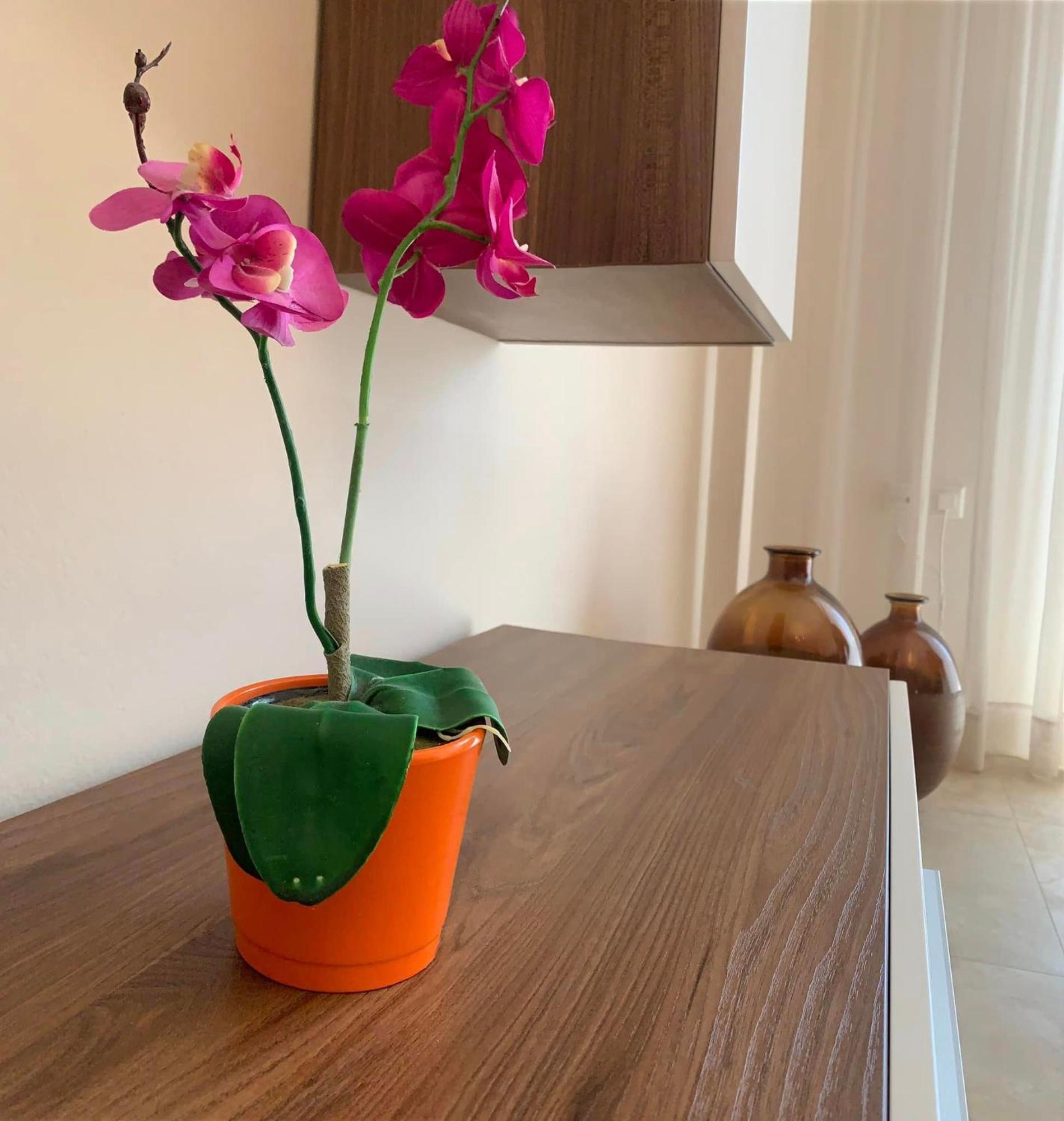 شقة Αpartments Anna Deluxe كافالا المظهر الخارجي الصورة